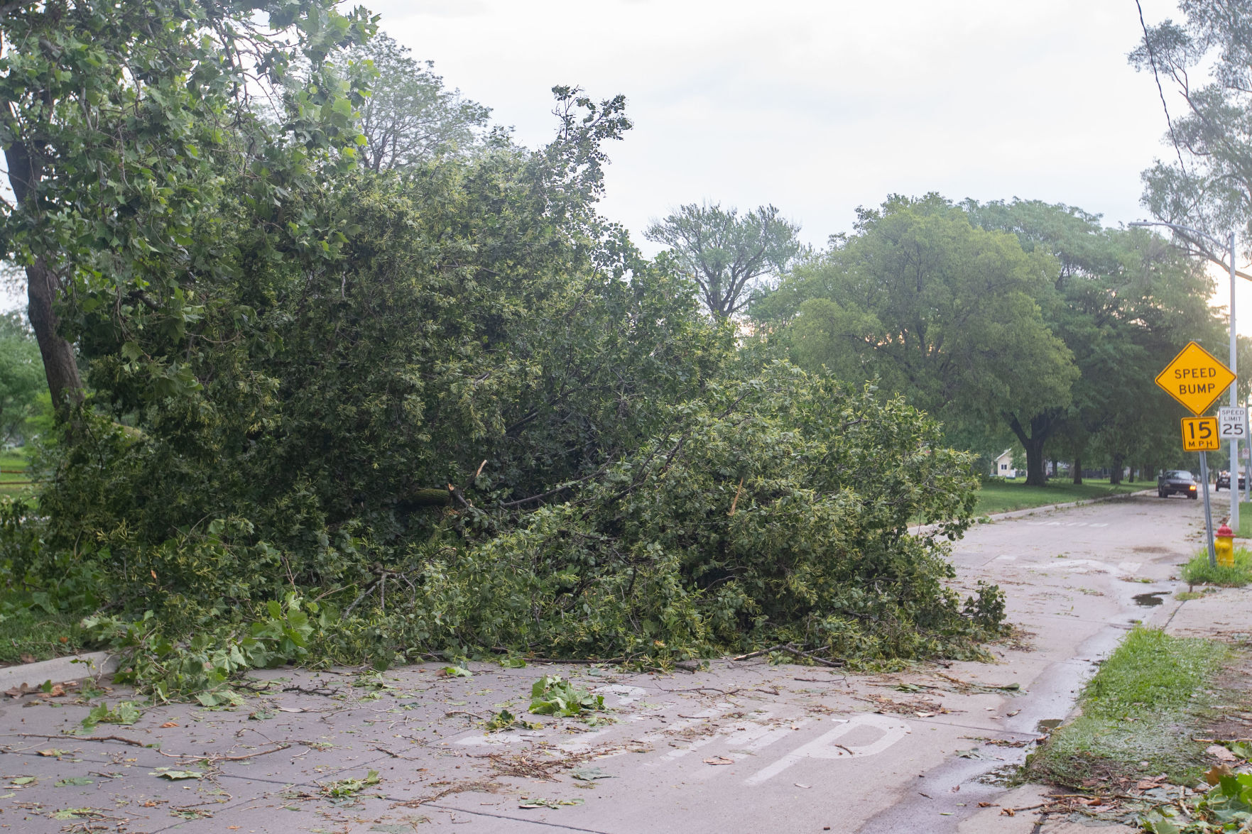 071121-owh-stormdamage-LS06.JPG